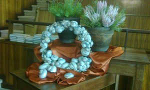 Die skepping se troos